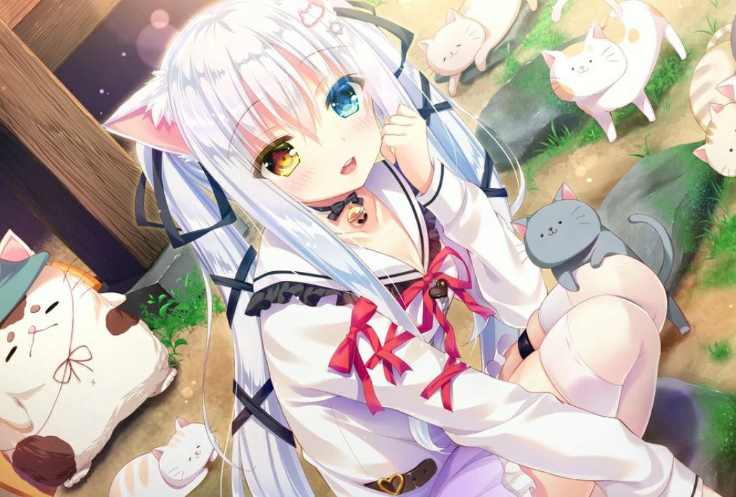 【汉化/ADV】喵咪喵咪喵-麻瓜屋