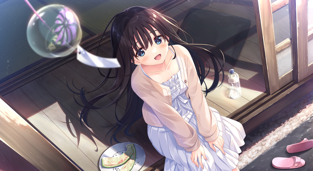 【PC/ADV/管中无码】痴情哥哥与病弱妹妹的乡间生活-麻瓜屋